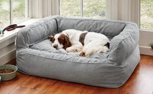 Cama ortopédica perros B